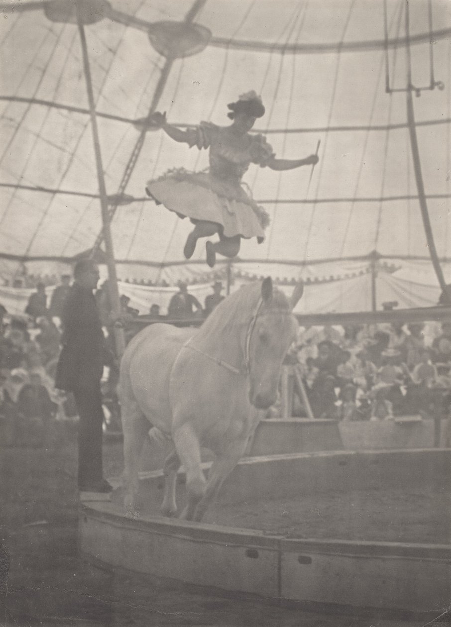 Het circus door Harry C. Rubincam