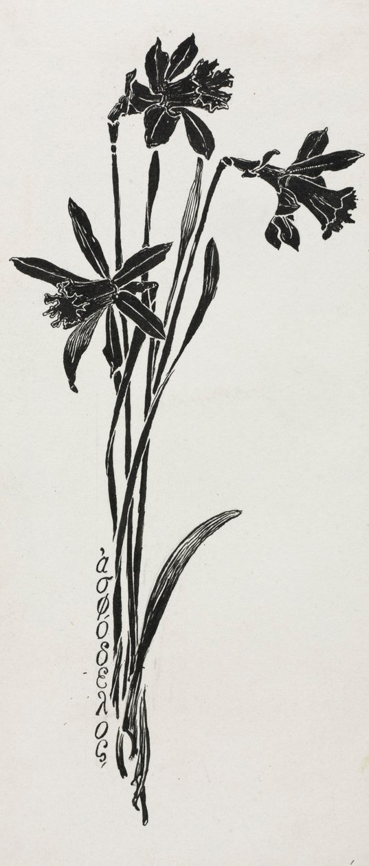 Narcissen door Harry Fenn