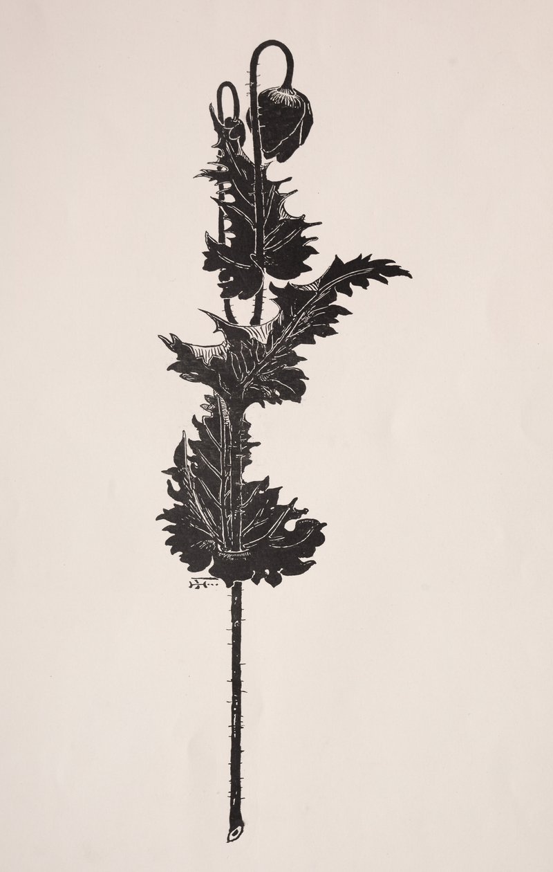 Bloemenstudie door Harry Fenn