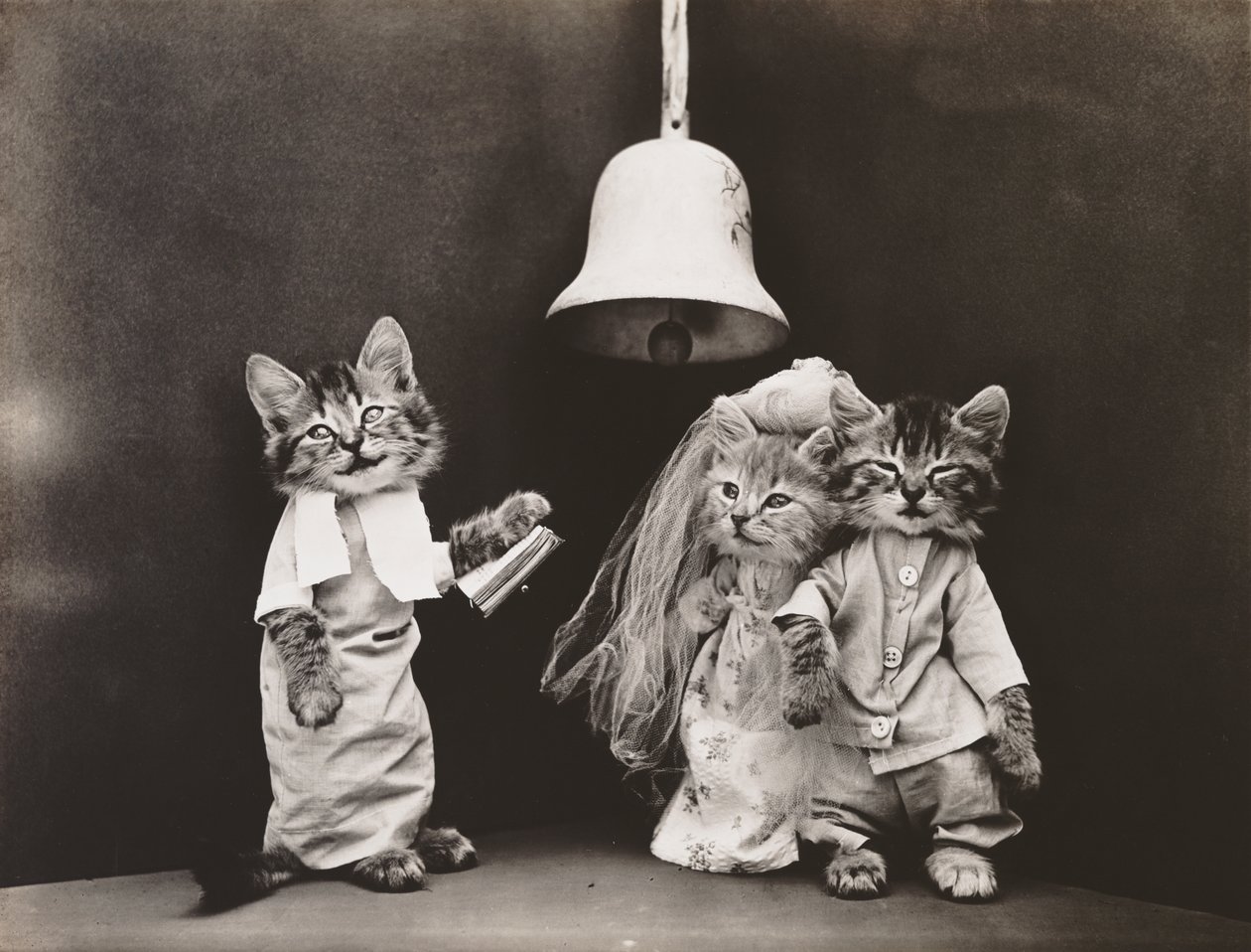 Kittieserie: Bruiloft, ca 1914 (zilverdruk) door Harry Whittier Frees