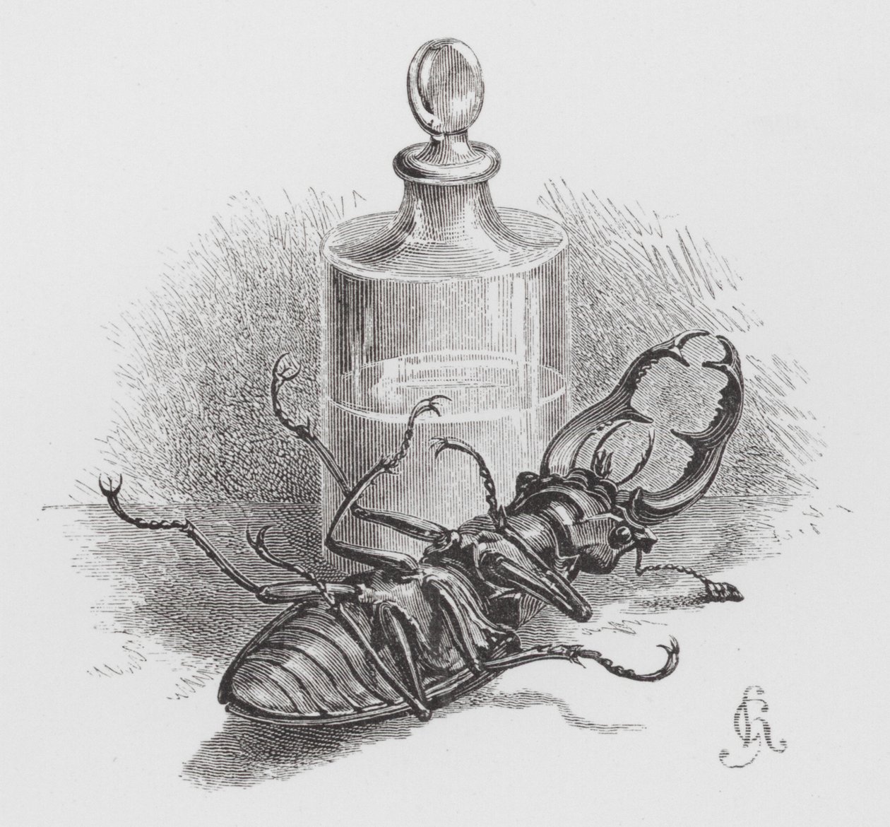Het insect: Dode kever (gravure) door Hector Giacomelli