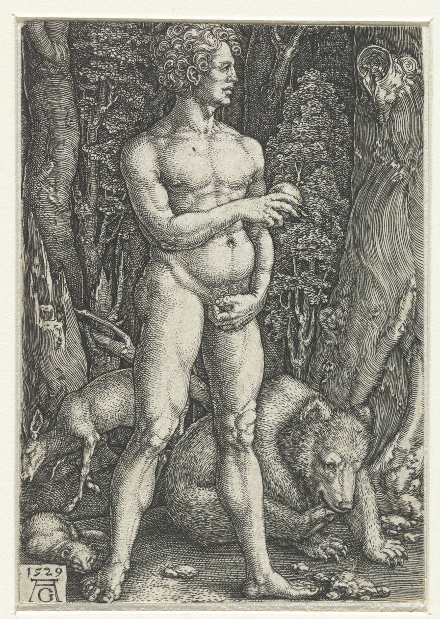 Adam door Heinrich Aldegrever
