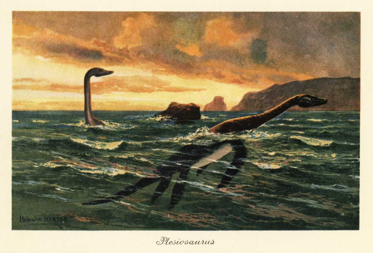 Plesiosaurus dolichodeirus in de oceaan door Heinrich Harder