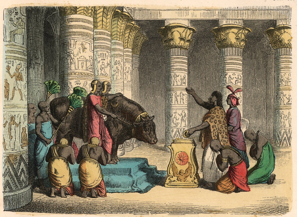 Oud Egypte: Verering van de Apis-stier door Heinrich Leutemann