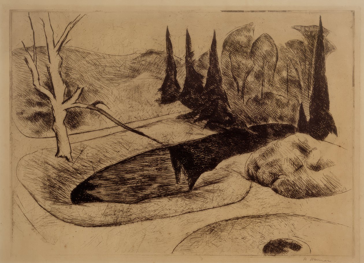 Park in Dilborn, 1914 door Heinrich Nauen
