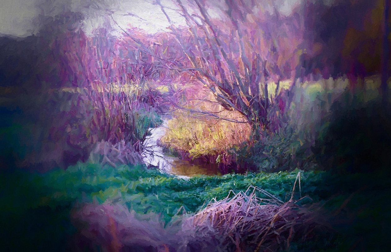 Bocht in de Rivier, 2018 door Helen White
