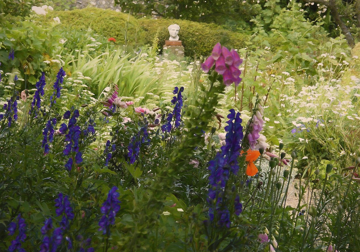 Zomer Overvloed, 2018 door Helen White