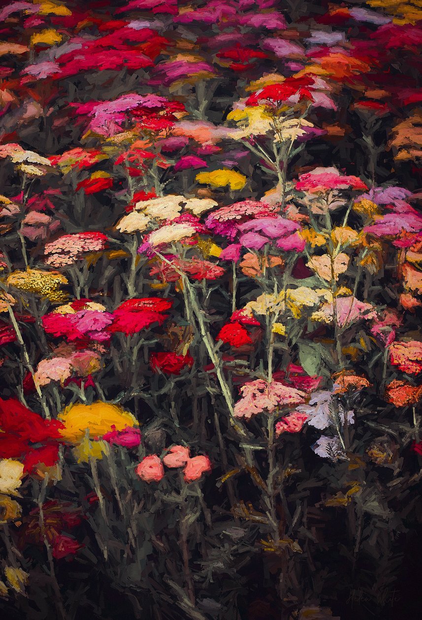Wild Kleurrijk, 2018 door Helen White