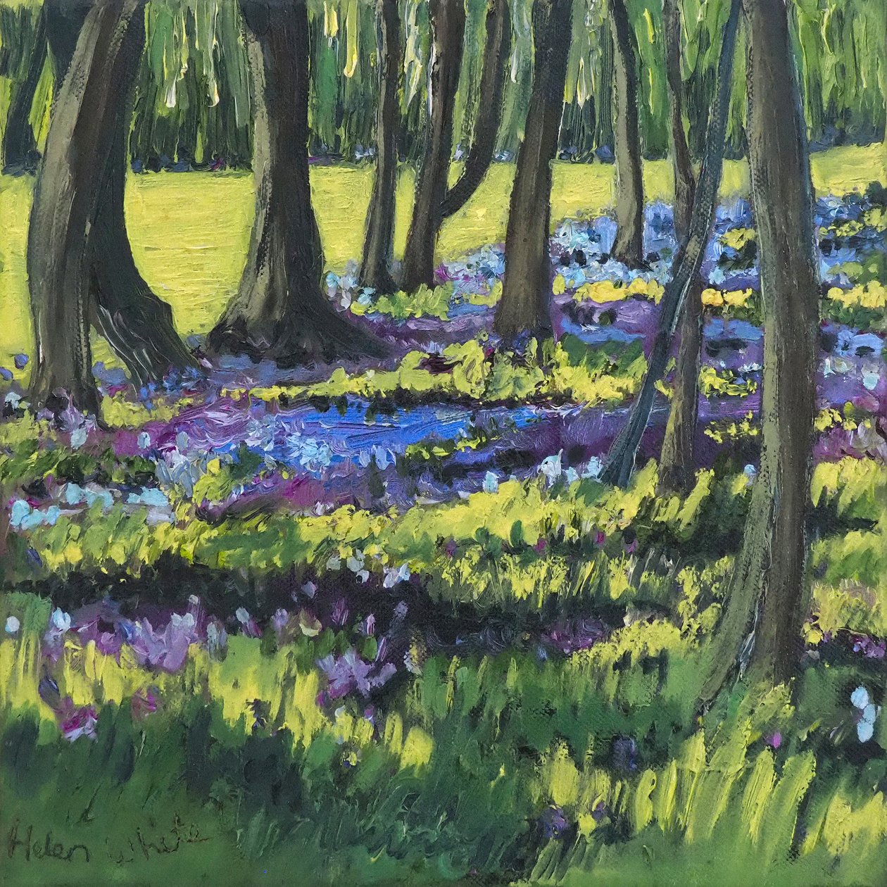 Bluebell Bos, 2008 door Helen White