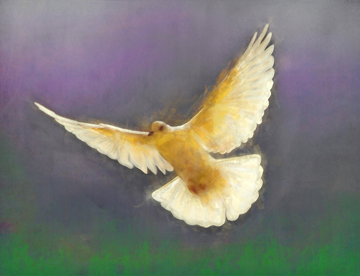 Brenger van Vrede, 2019 door Helen White