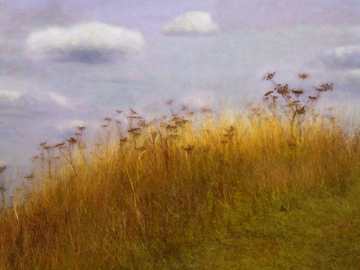 Afdrijven, 2019 door Helen White