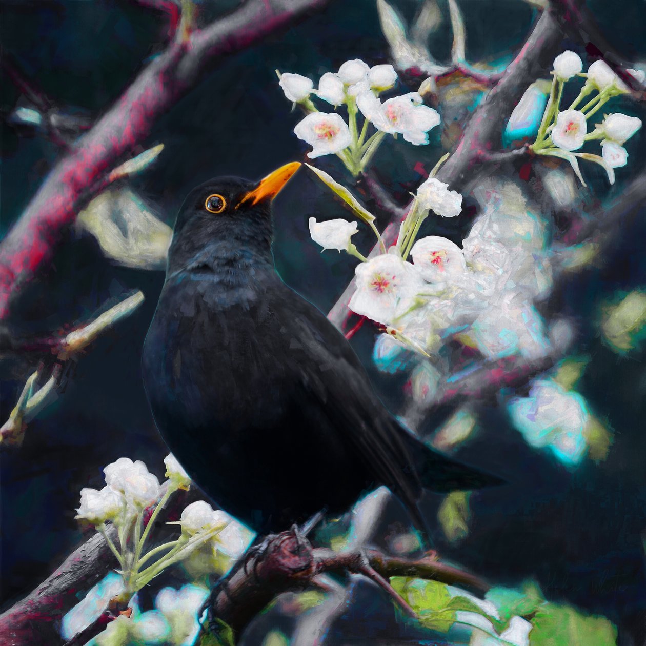 Heer van het Zomerlied, 2019 door Helen White