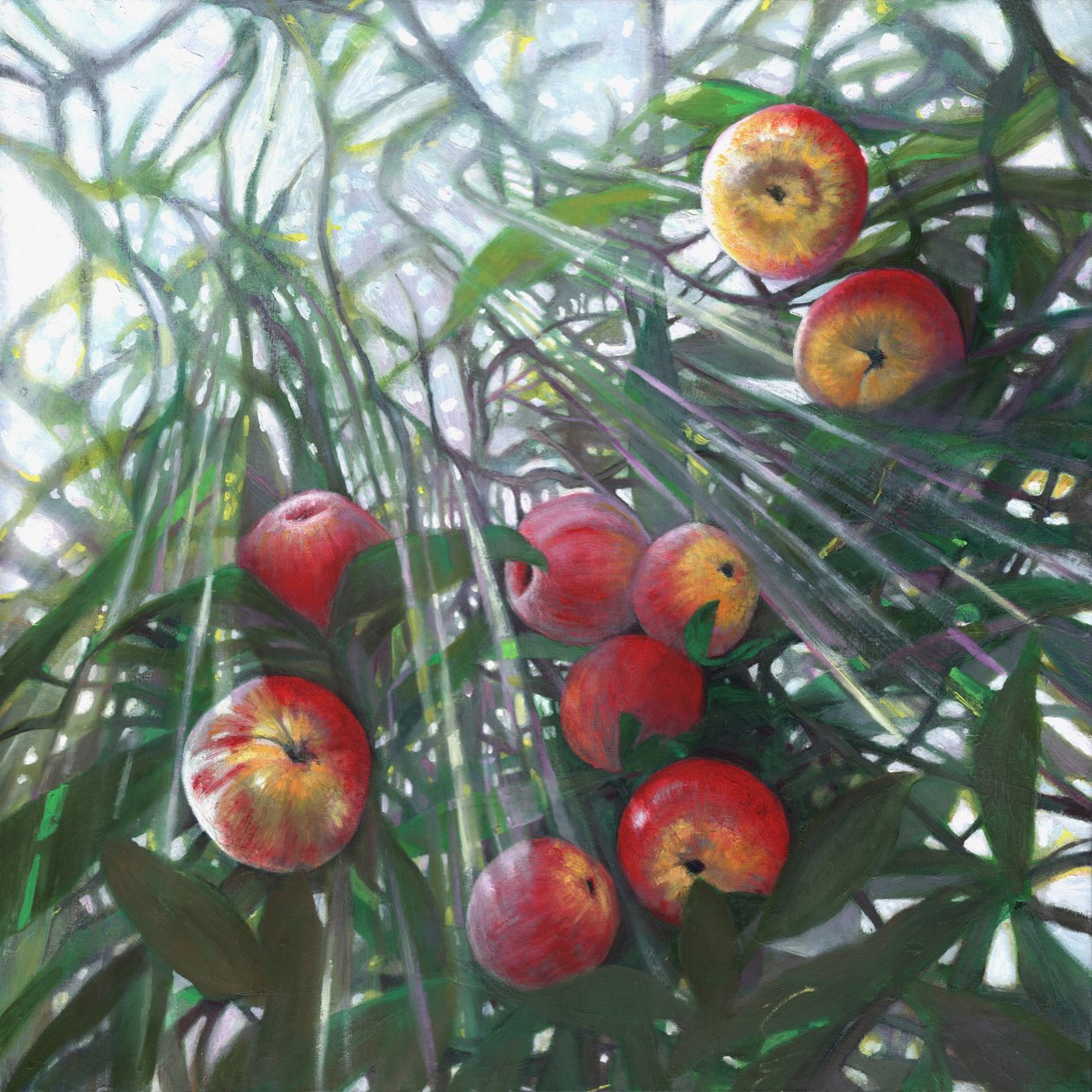 Nieuw licht op Eden, 2016 door Helen White