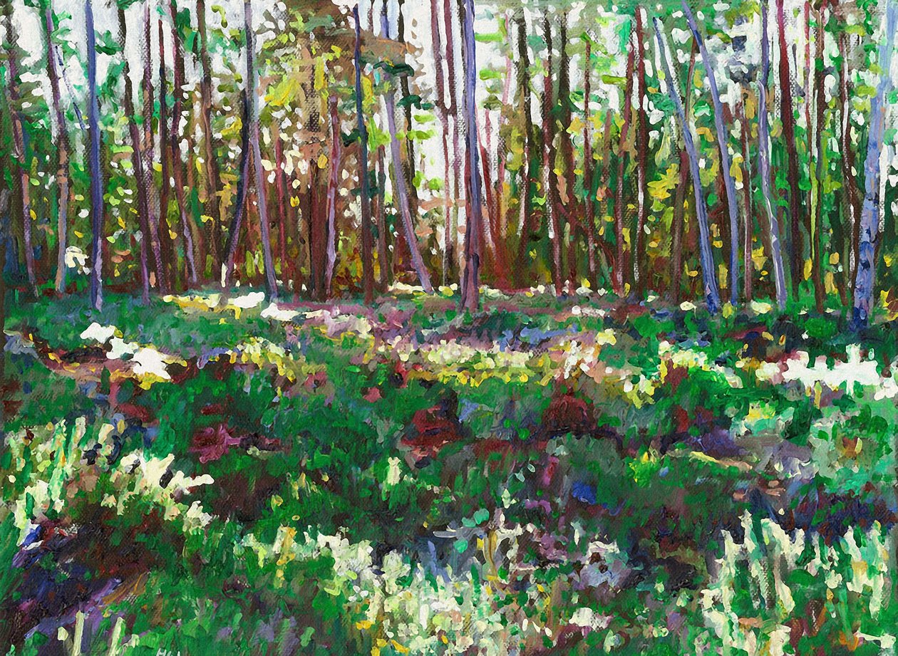 Zonlicht op Heide, 2011 door Helen White