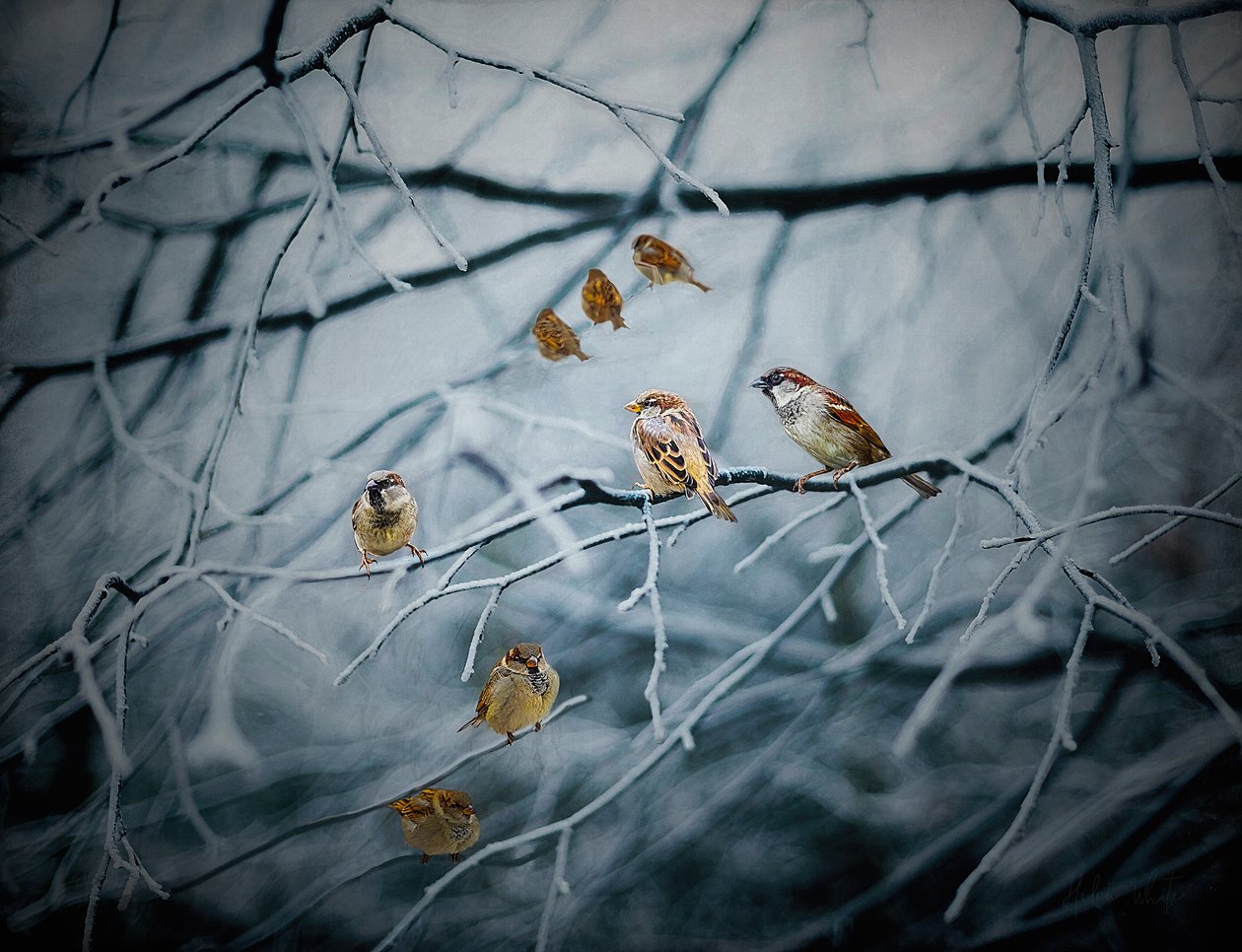 Teeming with Life, 2019 door Helen White
