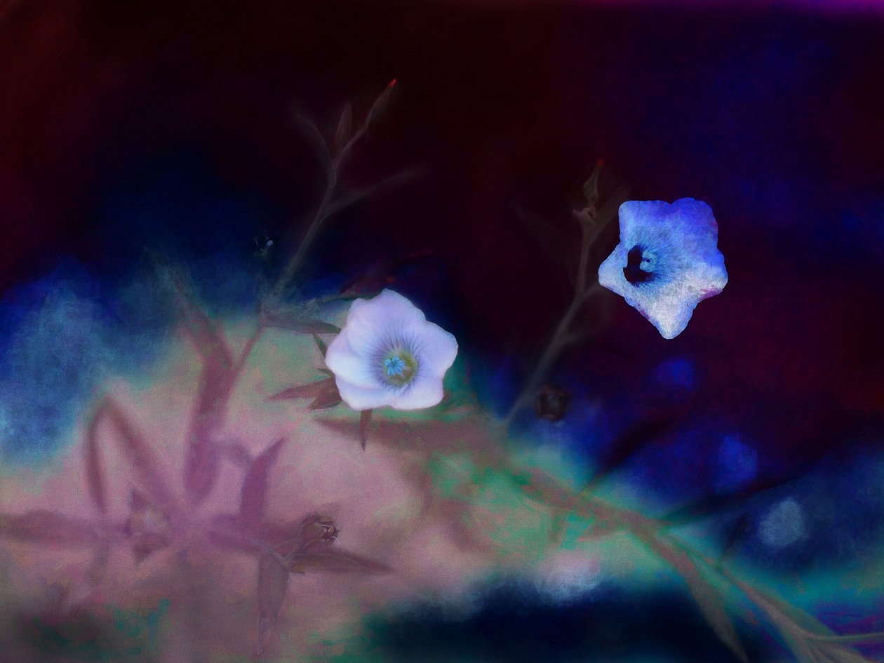 Vergankelijkheid, 2019 door Helen White