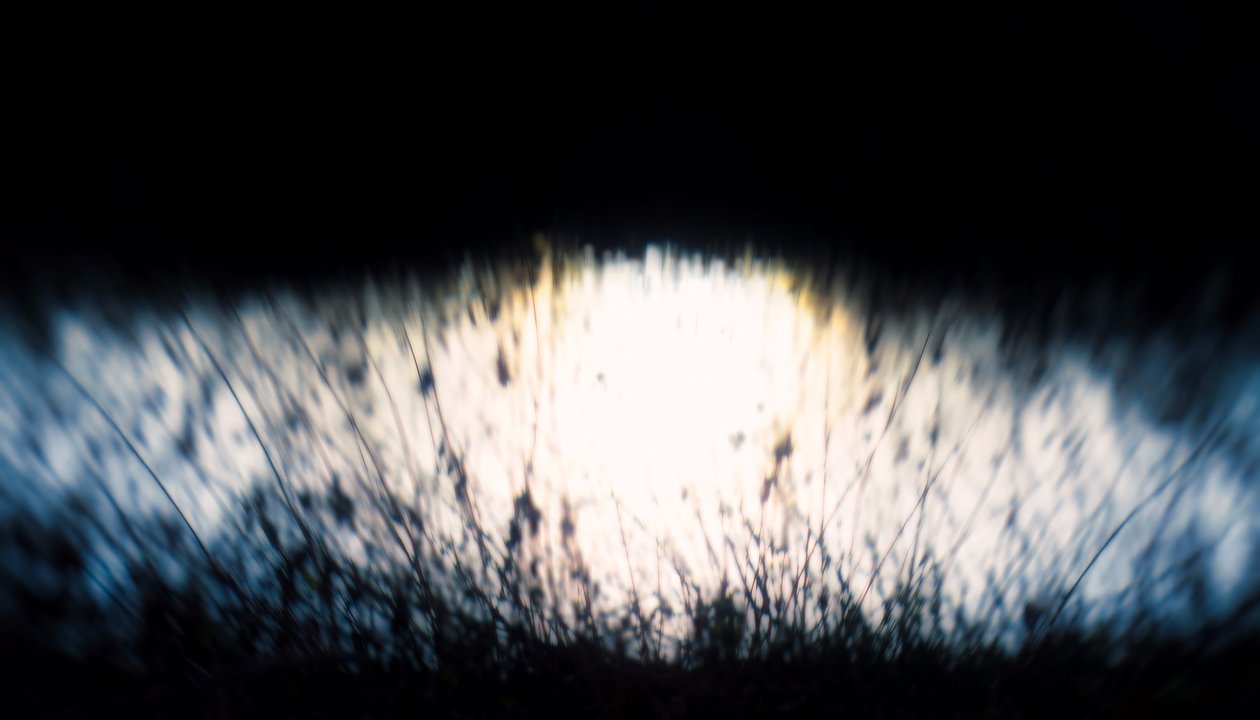 Watertapijt IV, 2017 door Helen White