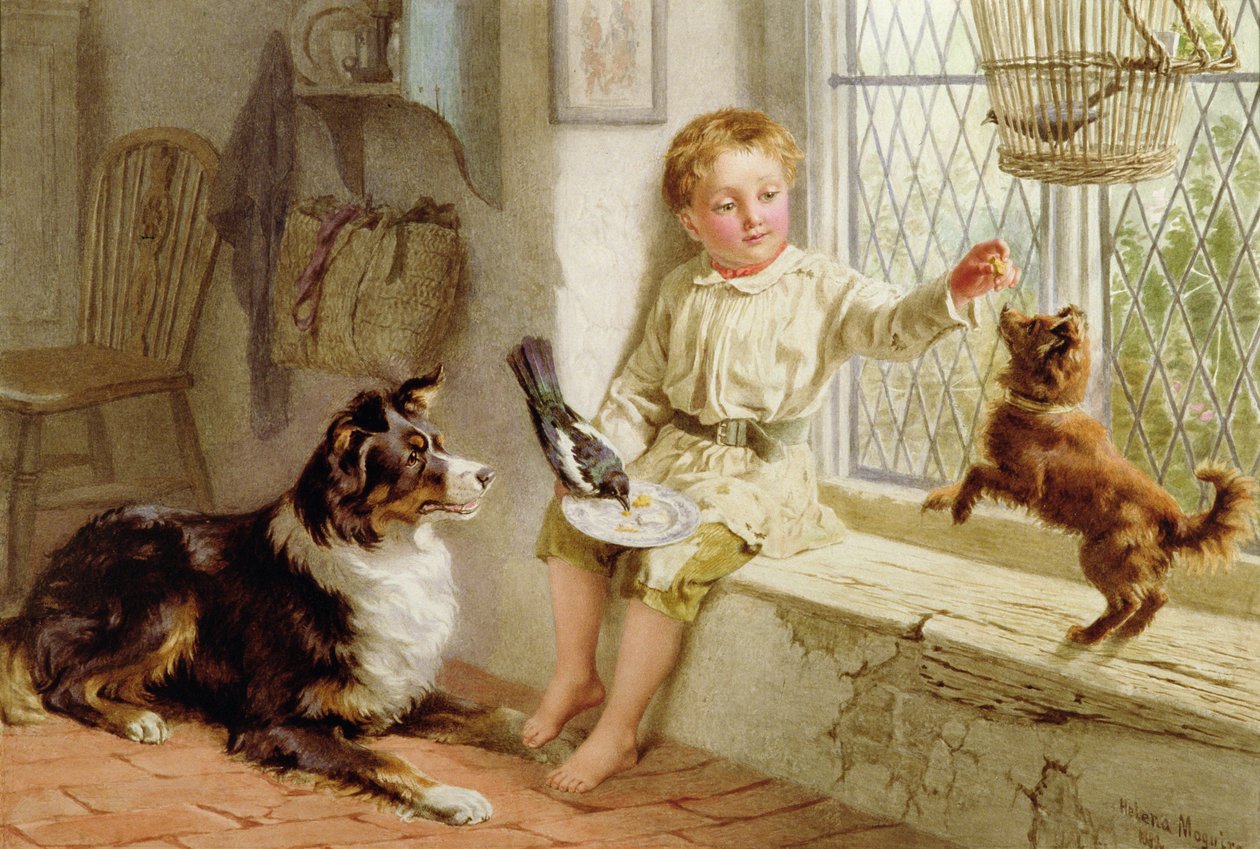 Vrienden door Helena J. Maguire