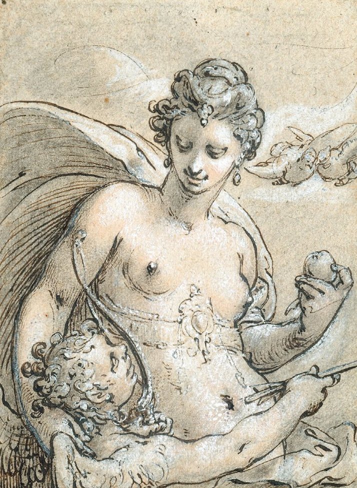 Venus door Hendrik Goltzius