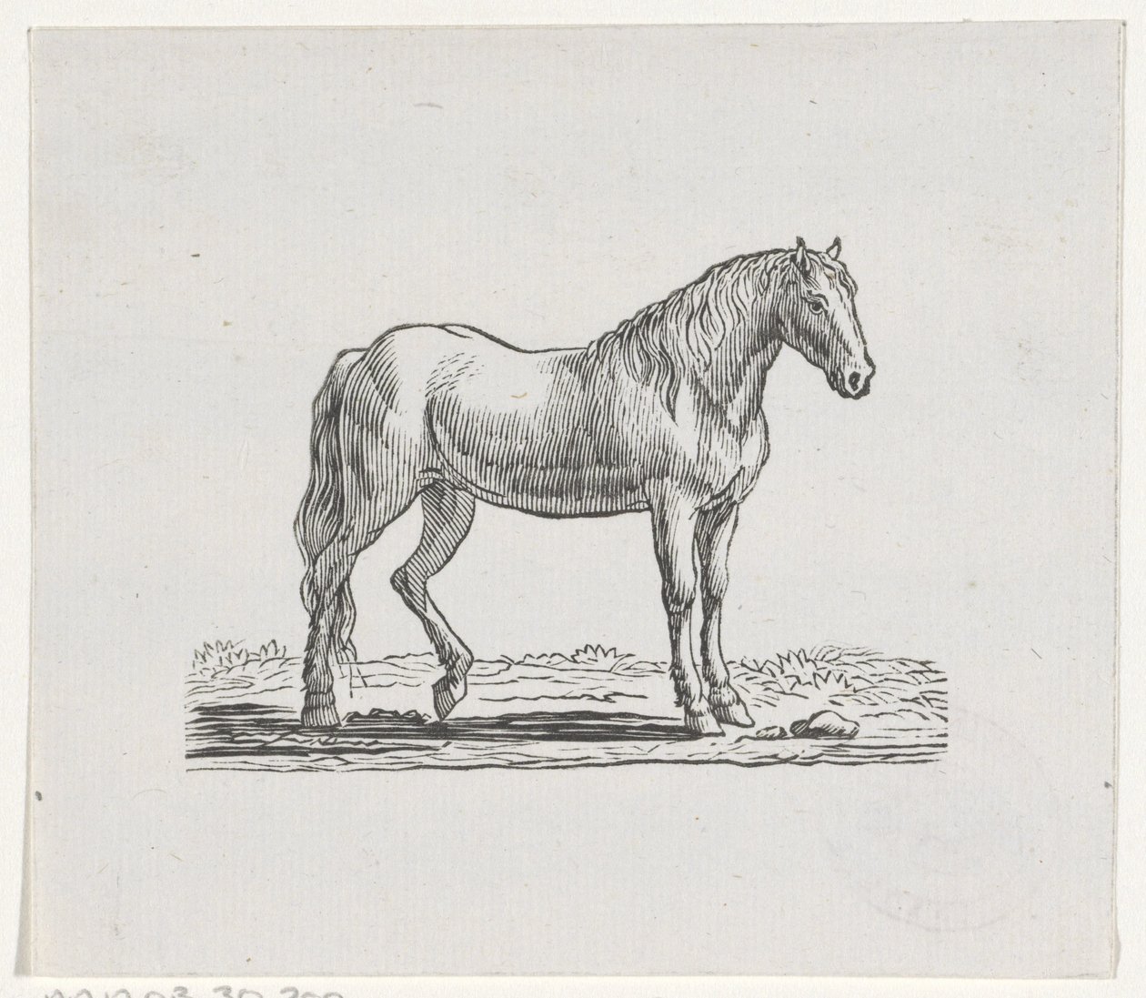 Paard door Hendrik Numan
