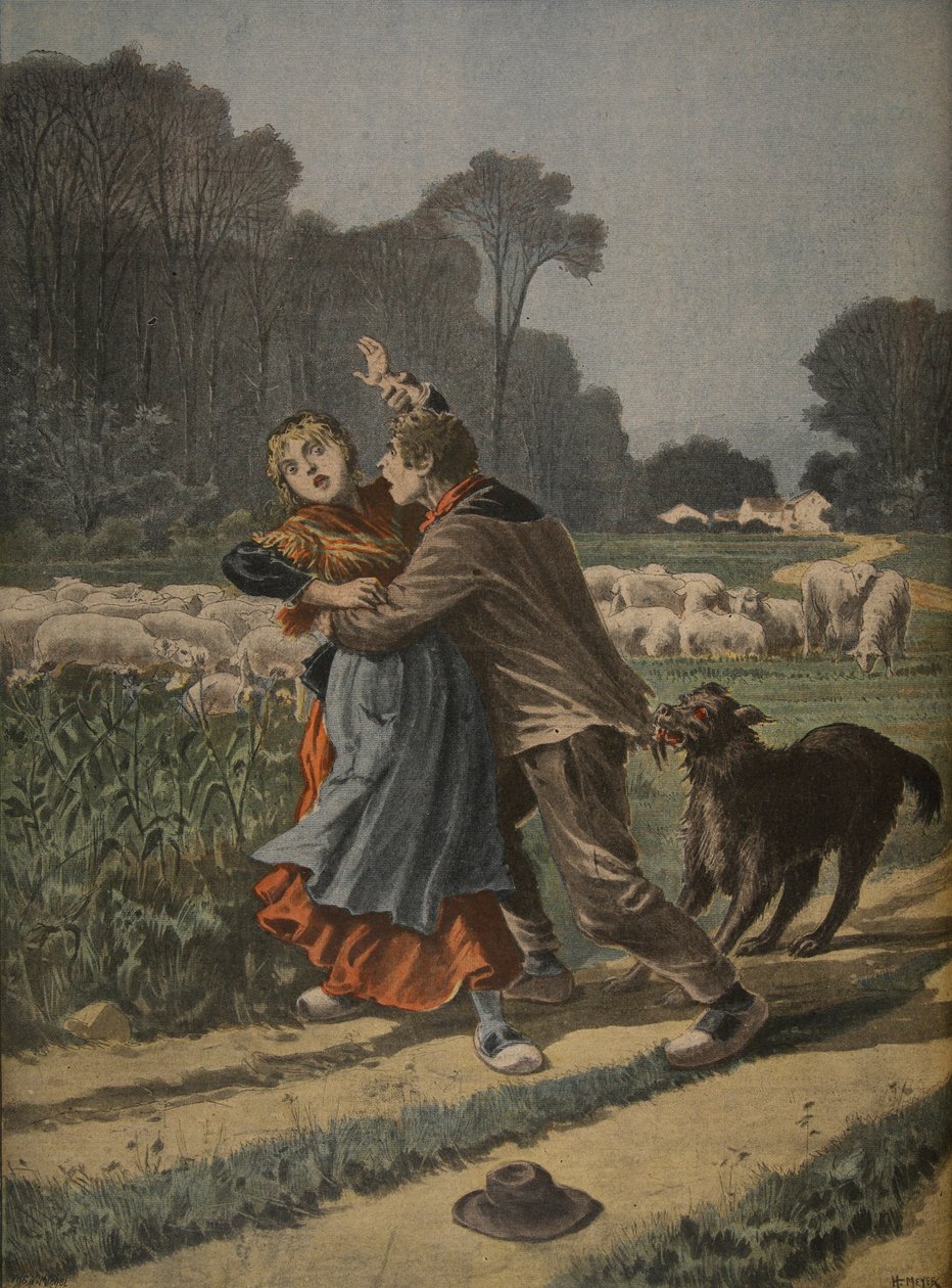 Herderin verdedigd door haar hond, illustratie uit 