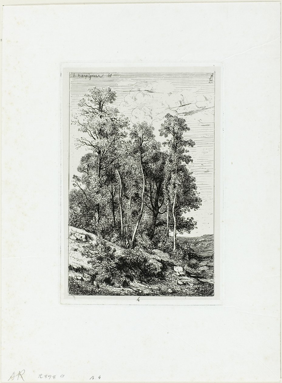 Berken en eiken door Henri Joseph Harpignies