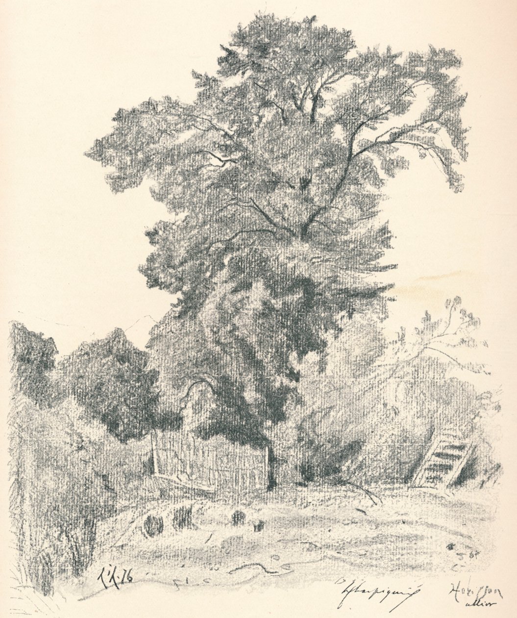 Studie van Bomen, ca. 1839-1898, 1898 door Henri Joseph Harpignies