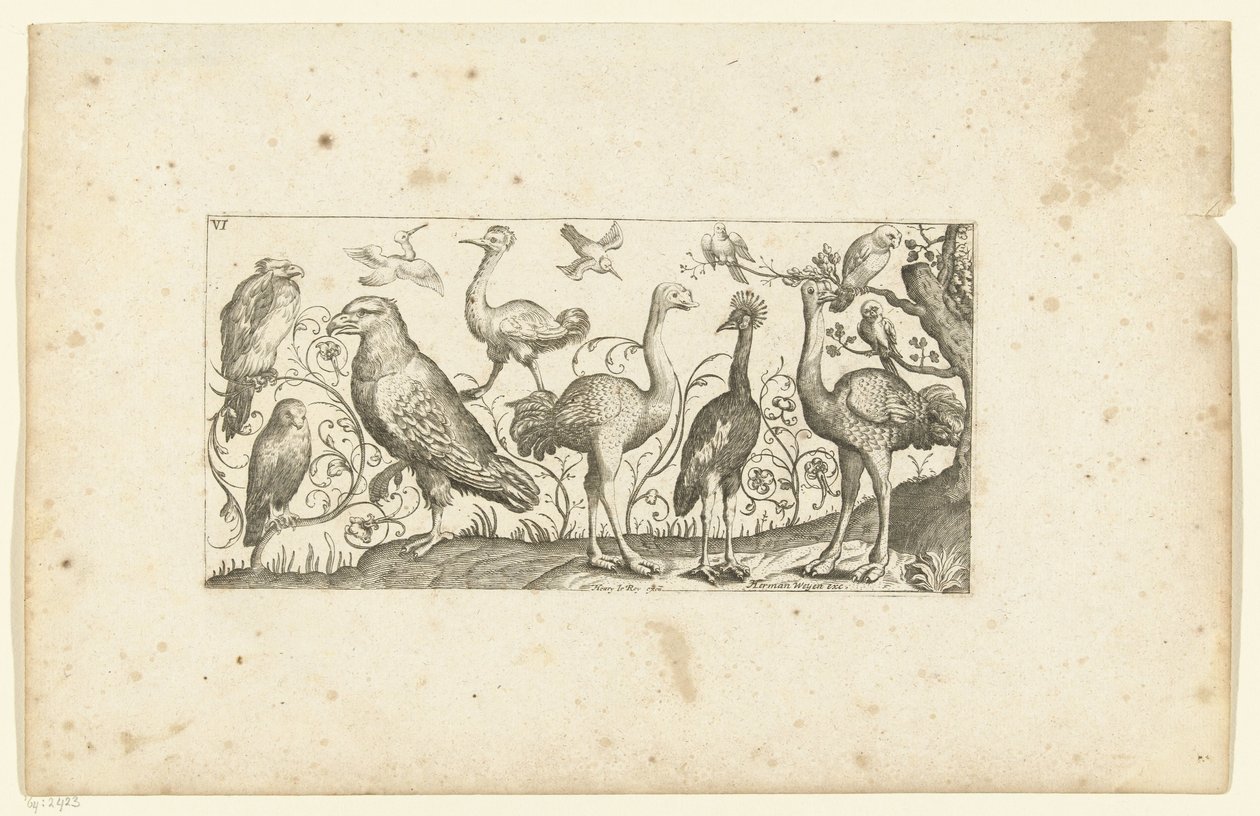 Twaalf vogels (Vogels) door Henri Le Roy