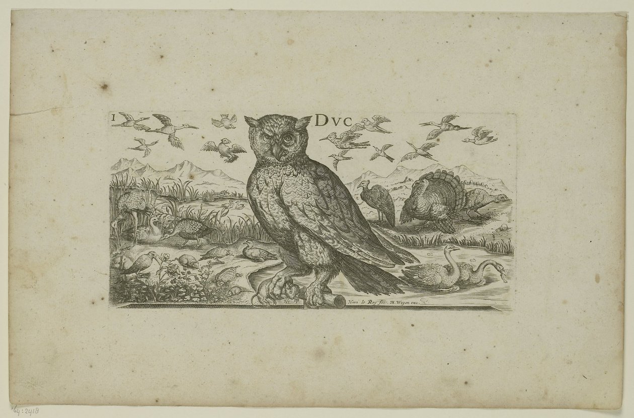 Uil en andere vogels door Henri Le Roy