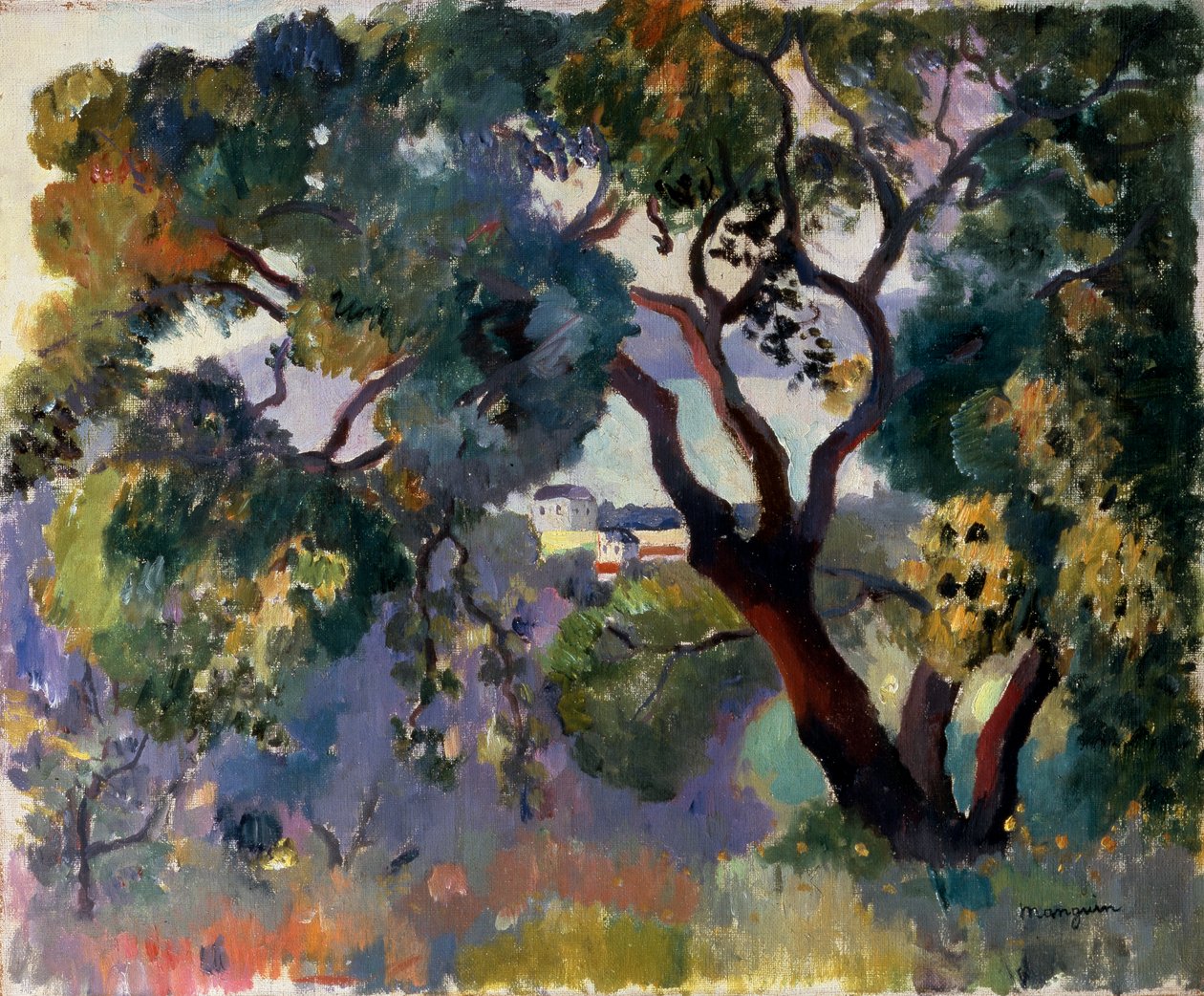 Landschap in Saint-Tropez door Henri Manguin