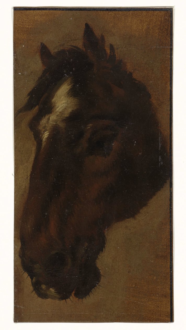 Paardenhoofd door Henriëtte Ronner