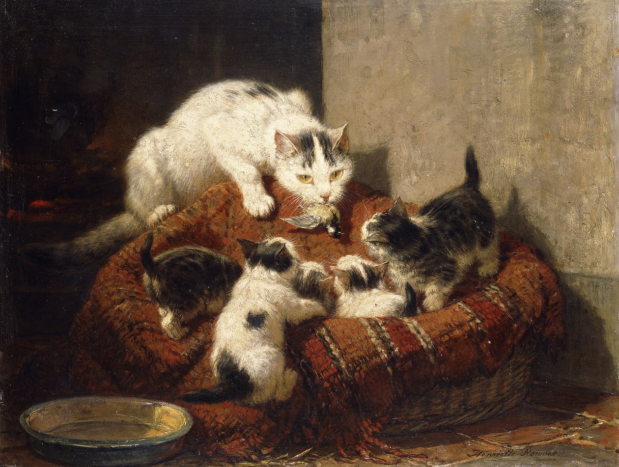 Een Gevederd Geschenk door Henriëtte Ronner Knip