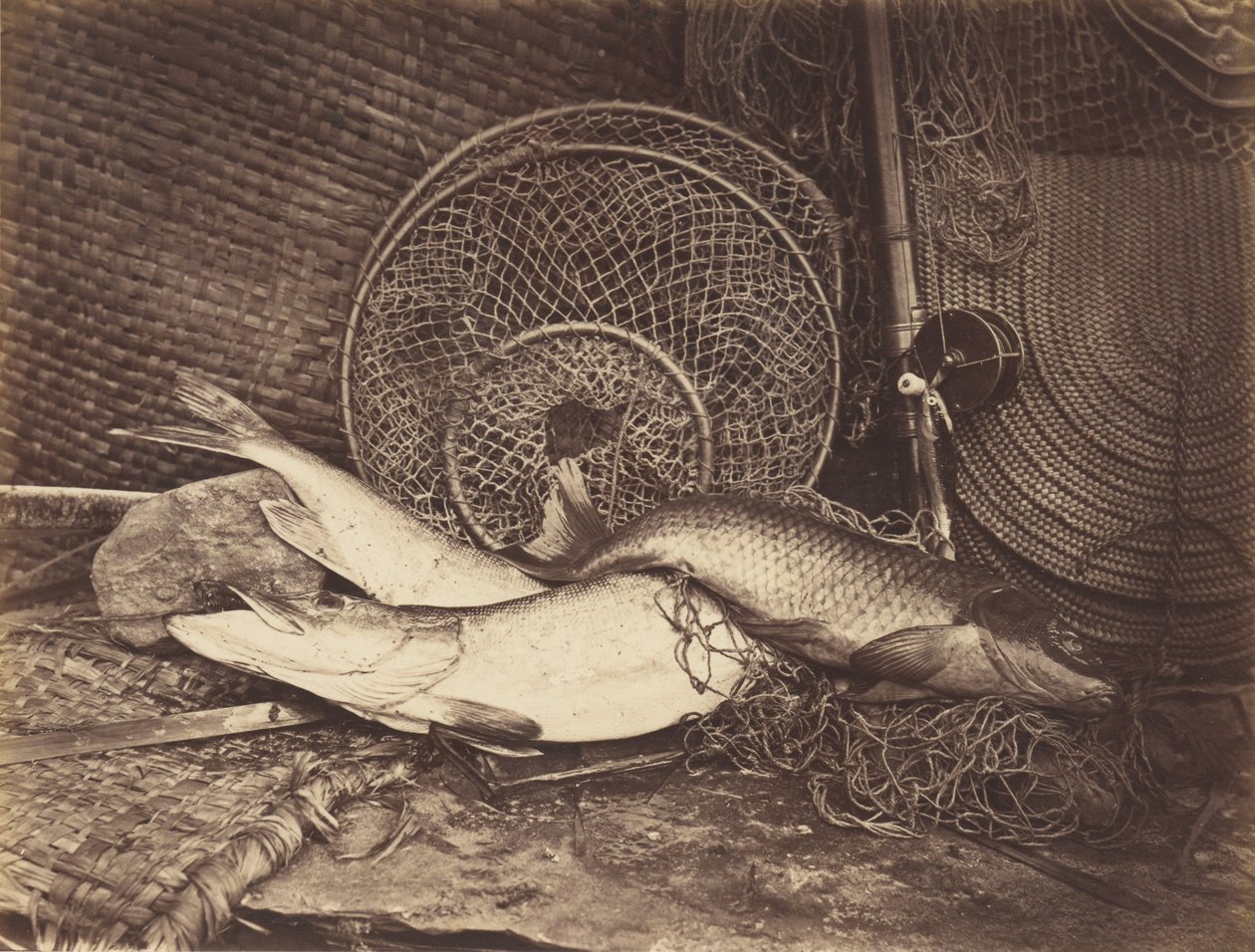 Stilleven met Karper en Snoek door Henry Bailey