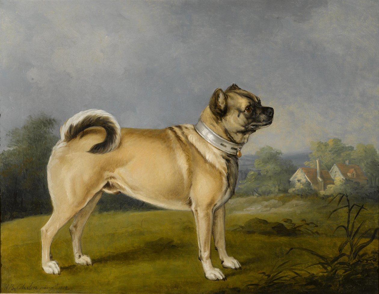 Een favoriete mopshond door Henry Bernard Chalon