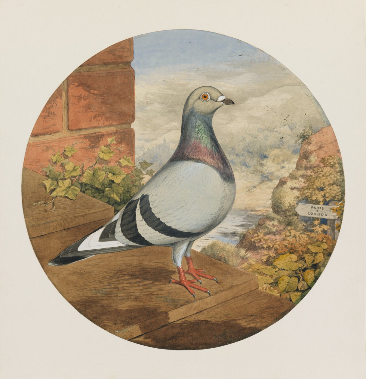 Wedstrijdduiven, Parijs naar Londen, 1880 door Henry Stephen Ludlow