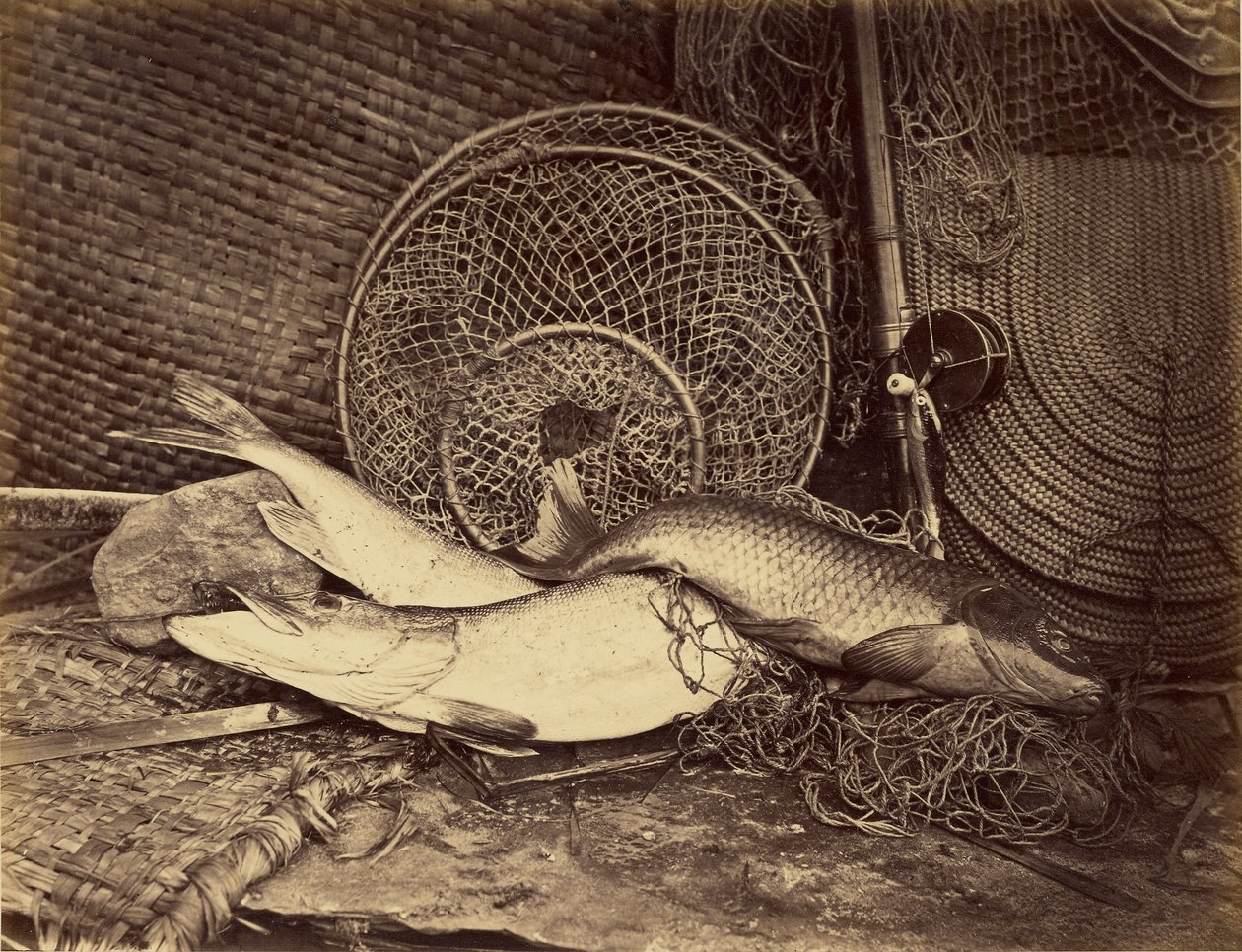 Stilleven met karper en snoek door Henry Bailey