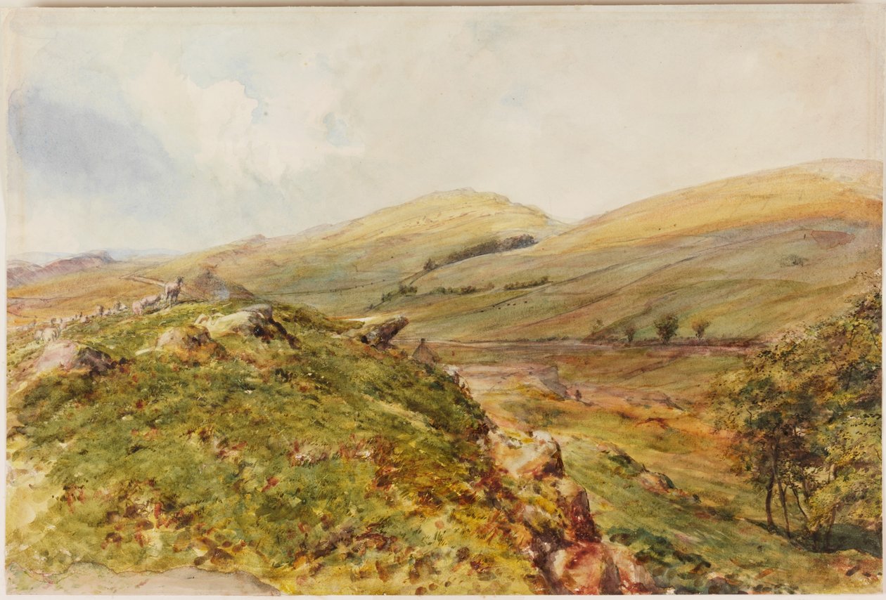 Cockmount Hill door Henry Burdon Richardson