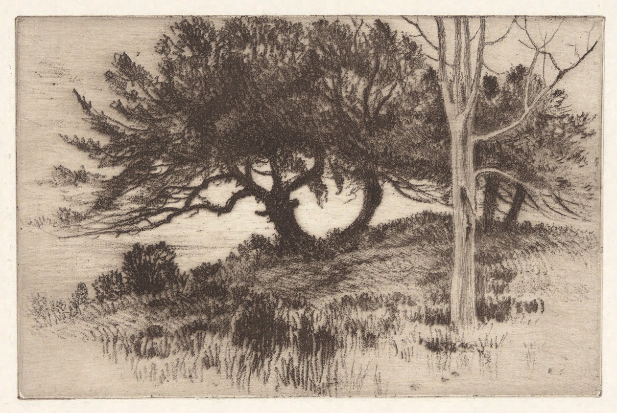 Dichtbij de Zee door Henry Farrer