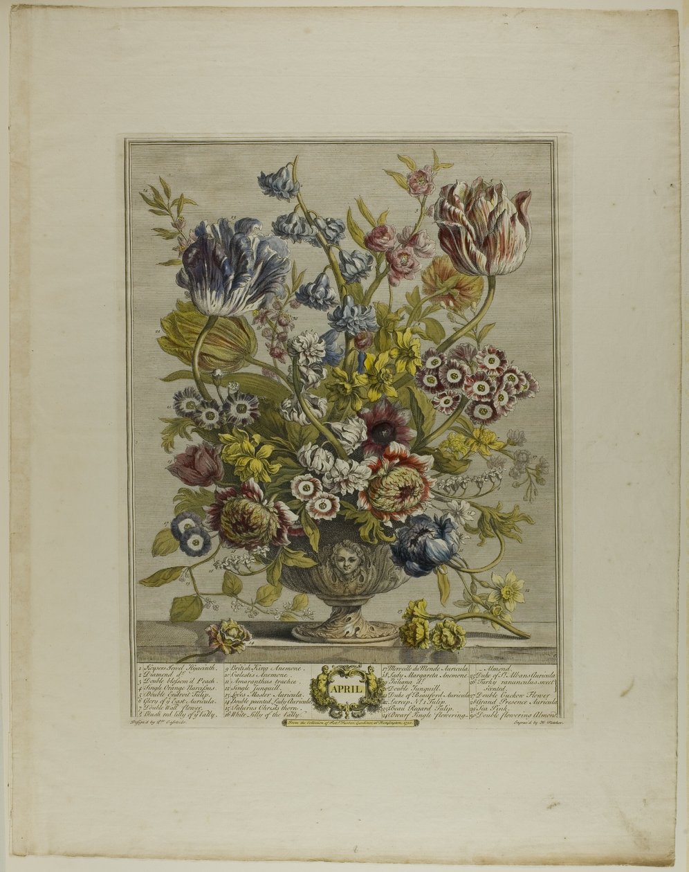 April, uit Twaalf Maanden van Bloemen door Henry Fletcher