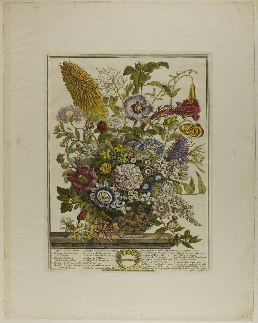 Augustus, uit Twaalf maanden bloemen door Henry Fletcher