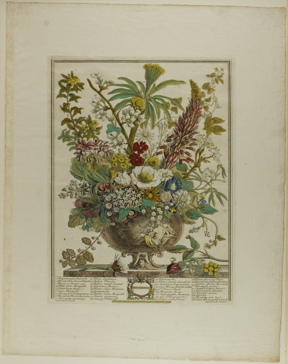 December, uit Twaalf Maanden van Bloemen door Henry Fletcher