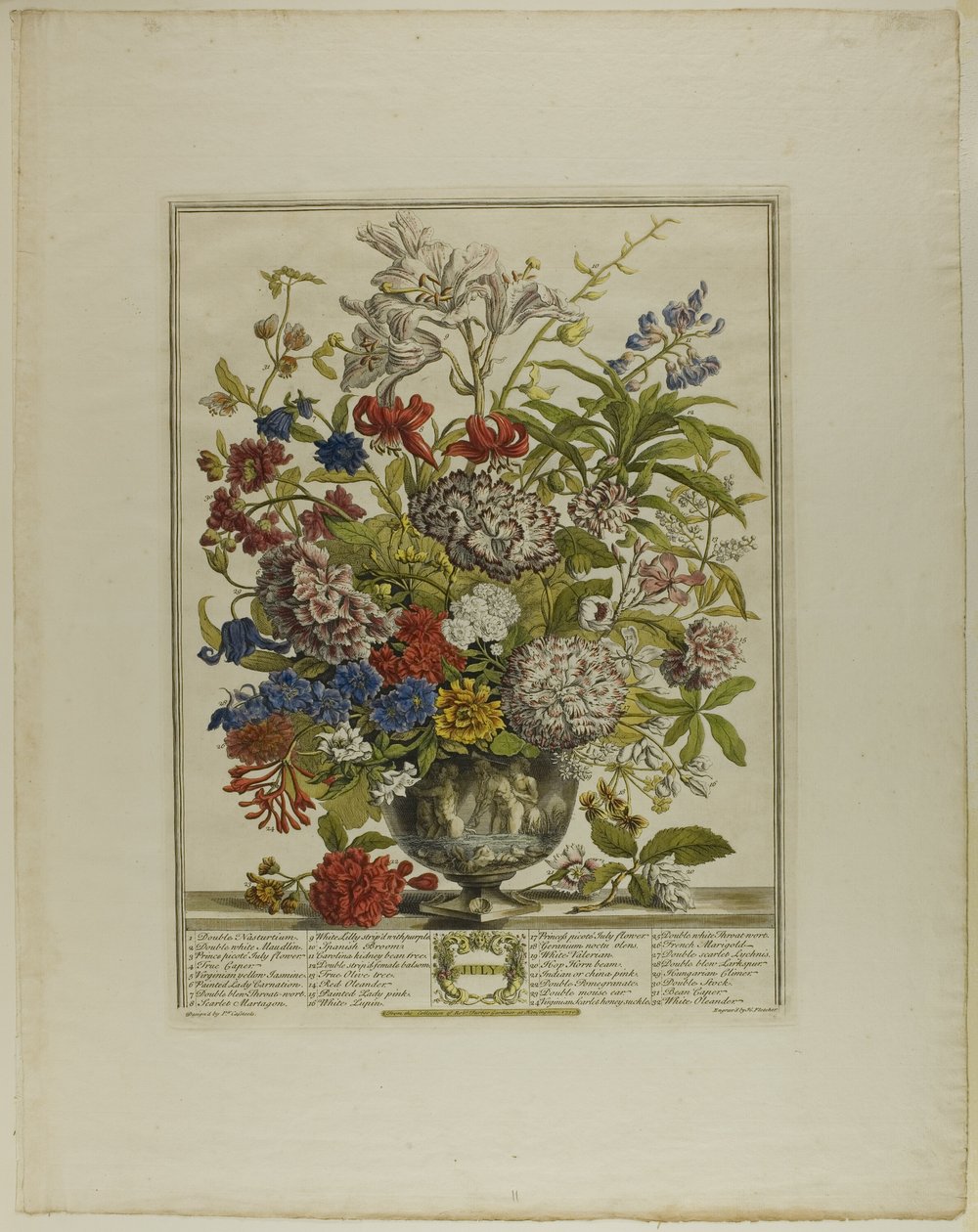 Juli, uit Twaalf Maanden Bloemen door Henry Fletcher