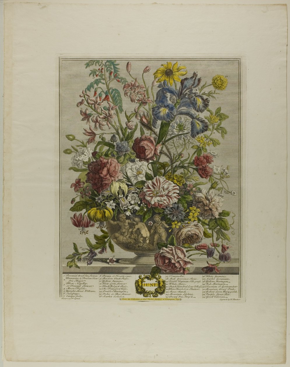 Juni, uit Twaalf Maanden van Bloemen door Henry Fletcher