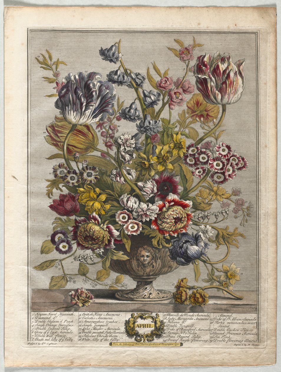 Twaalf maanden bloemen: april, 1730 door Henry Fletcher