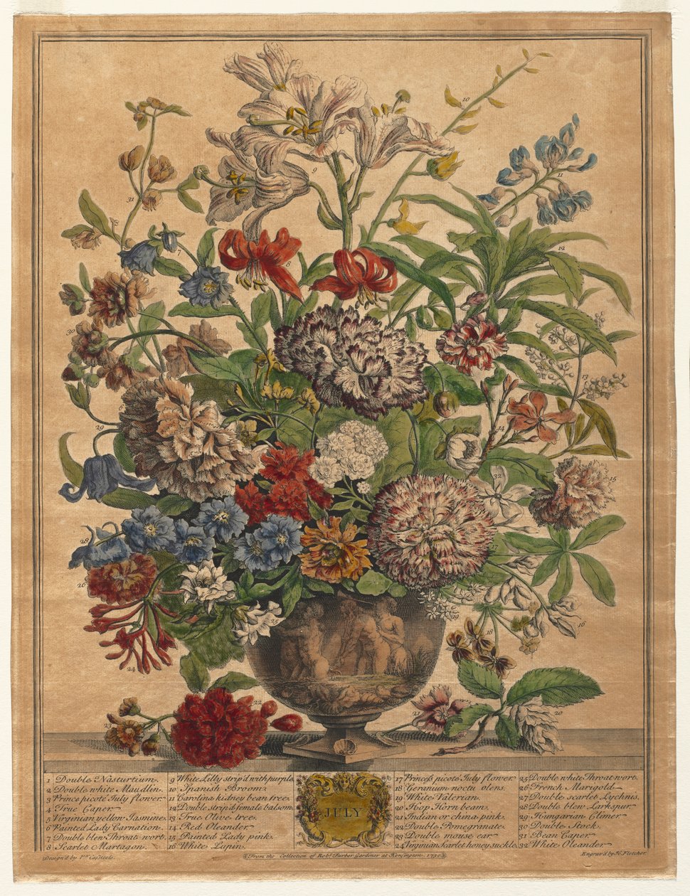 Twaalf Maanden Bloemen: Juli, 1730 door Henry Fletcher
