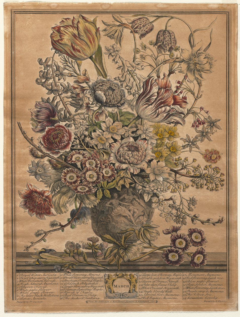 Twaalf Maanden van Bloemen: Maart door Henry Fletcher