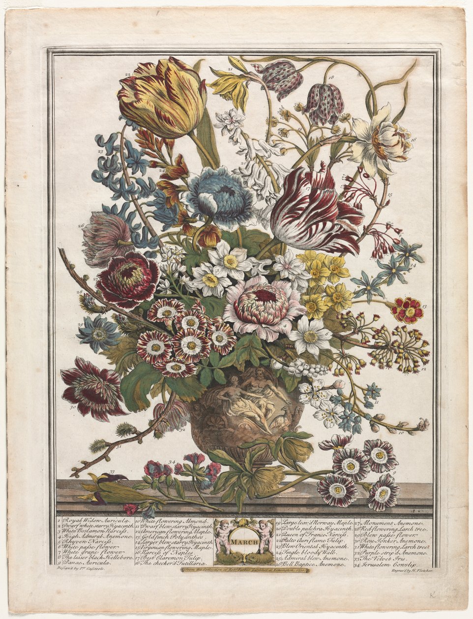 Twaalf Maanden Bloemen: Maart door Henry Fletcher