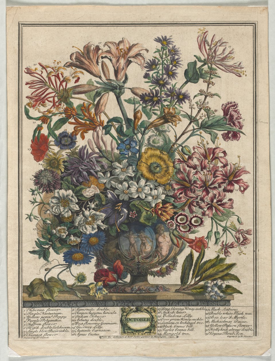 Twaalf Maanden Bloemen: Oktober, 1730 door Henry Fletcher
