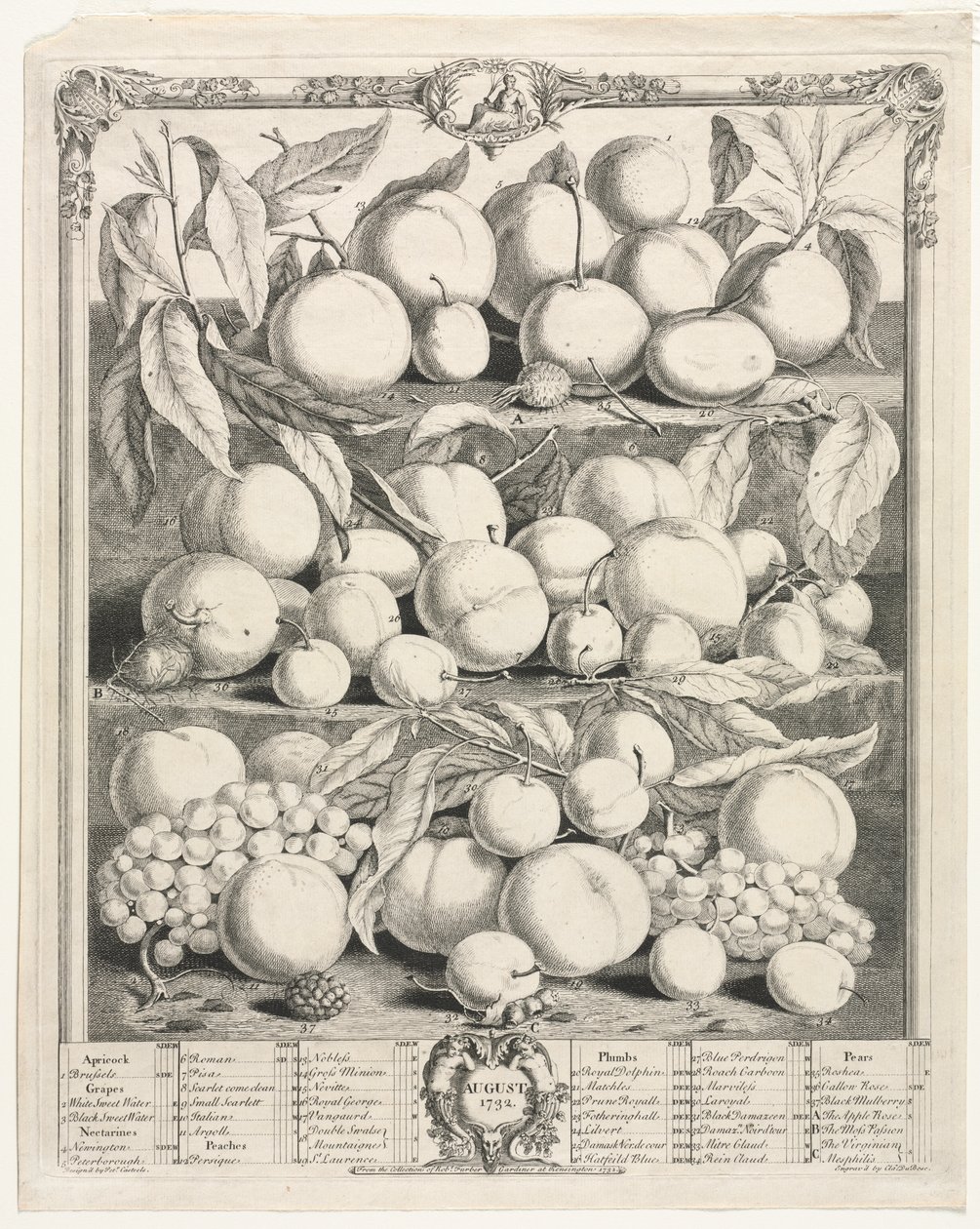 Twaalf Maanden van Fruit: Augustus door Henry Fletcher