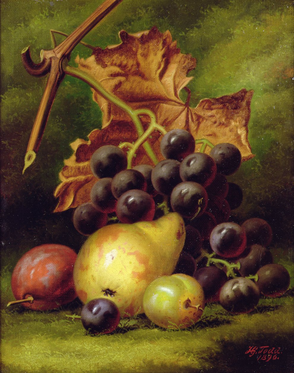 Stilleven door Henry George Todd